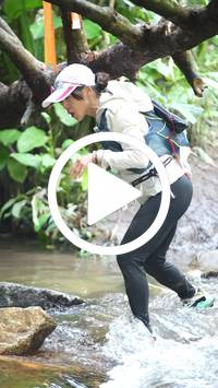 BIB:  <button type="button" onclick="openModal(27526085)" class="btn btn-primary btn-sm float-right" data-toggle="modal" data-target=".modal-high-quality">
                <i class="fa fa-download"></i> Download
                </button>